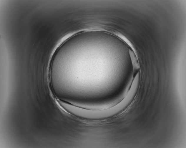 X0000084031485200703091959