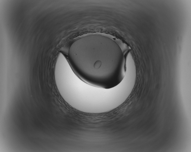 X0000084031489200703091958