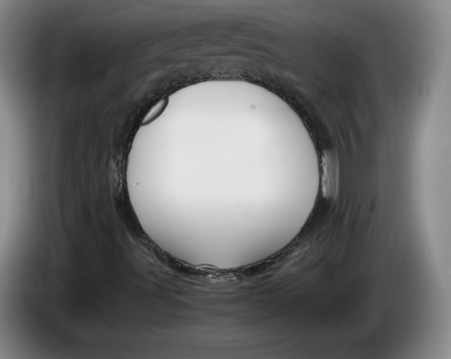 X0000084031491200703091958