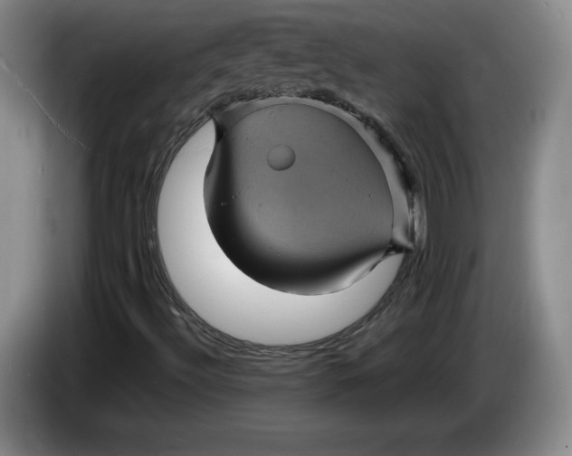 X0000084031492200703091958