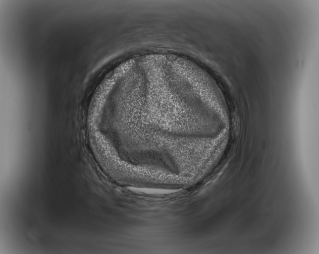 X0000084031494200703091958