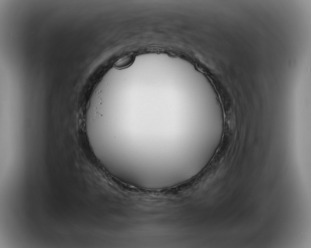 X0000084031495200703091958