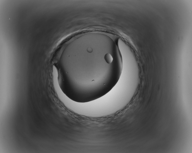 X0000084031496200703091958