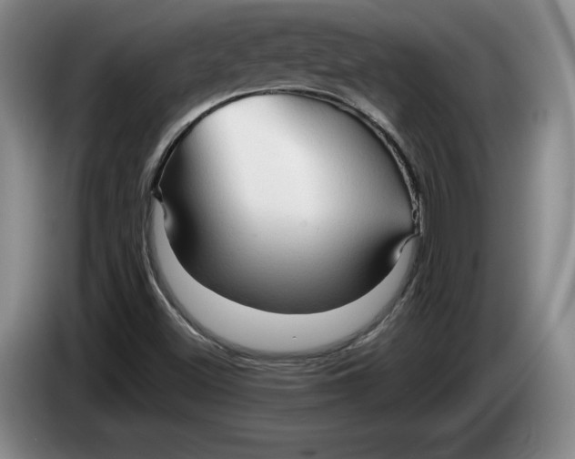 X0000084031500200703091958