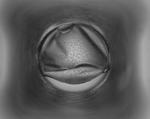 X0000084031501200703091958