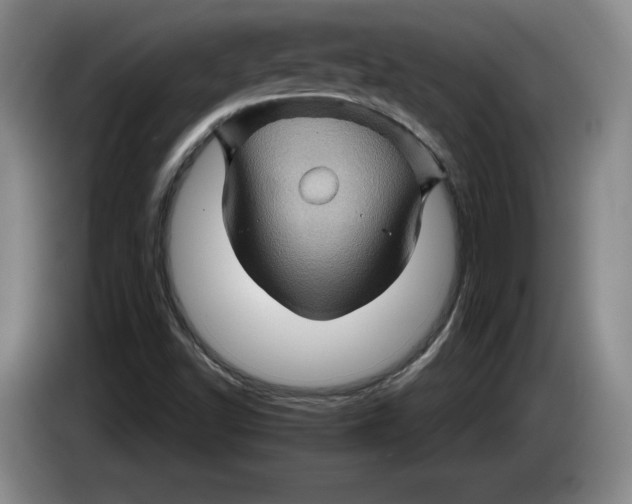 X0000084031502200703091958