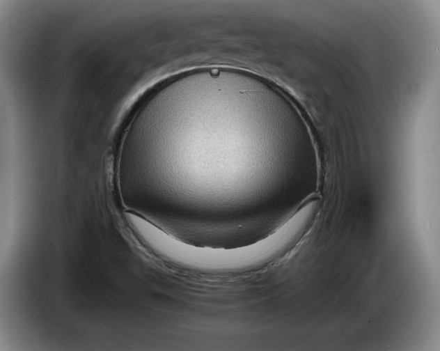 X0000084031503200703091958