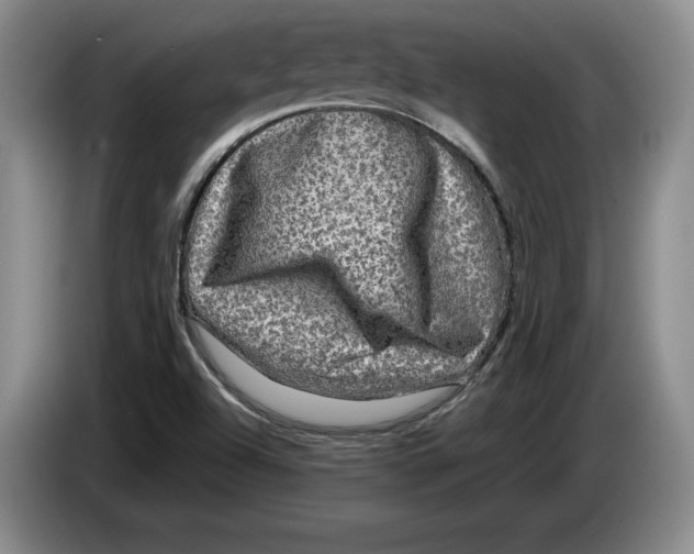 X0000084031504200703091958