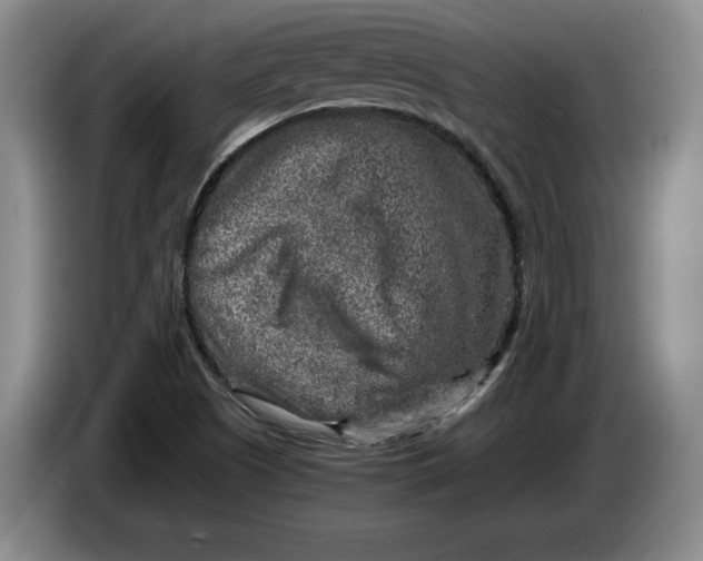 X0000084031505200703091958