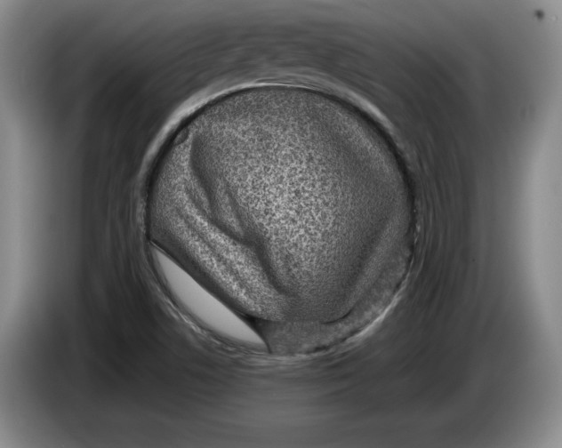 X0000084031506200703091958