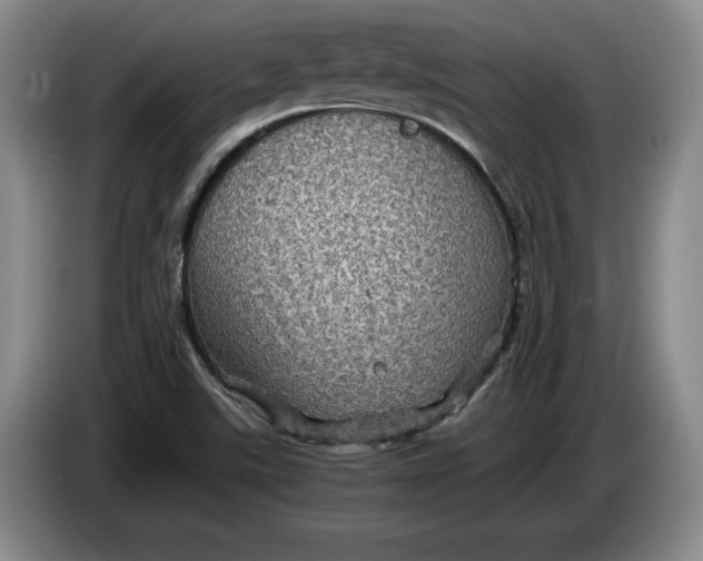 X0000084031507200703091958