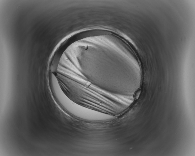 X0000084031508200703091958