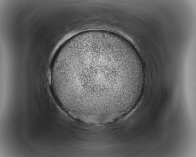 X0000084031509200703091958