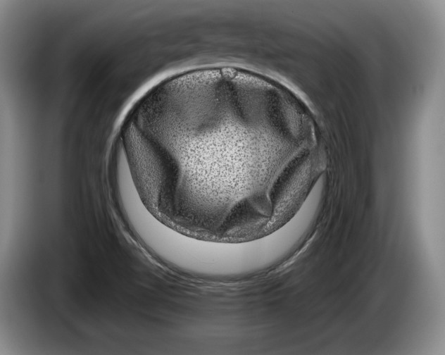 X0000084031510200703091958