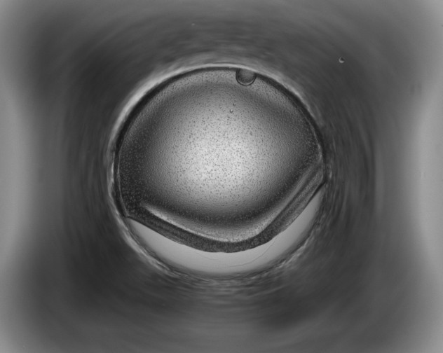 X0000084031511200703091958