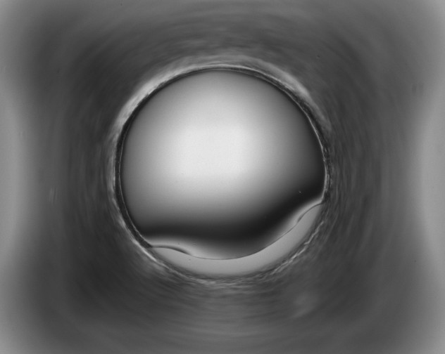 X0000084031512200703091958