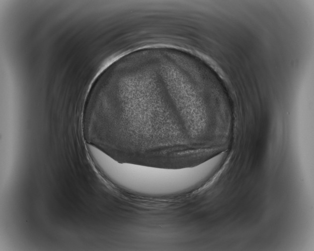 X0000084031513200703091958