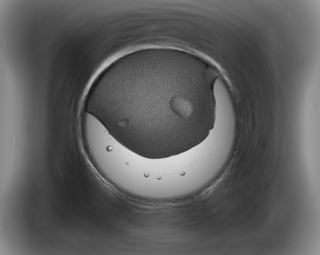 X0000084031514200703091958