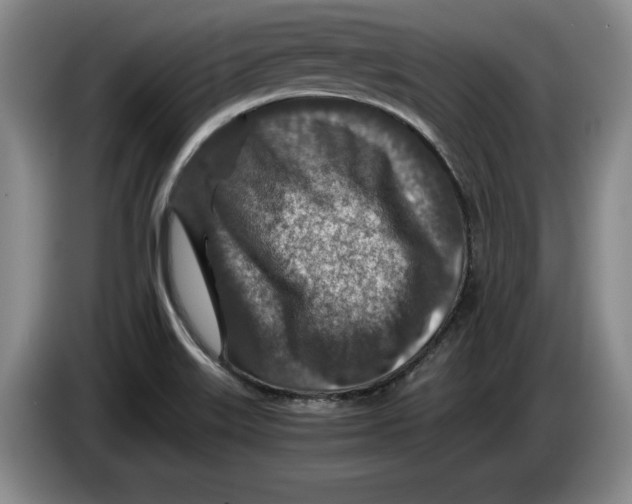 X0000084031515200703091958