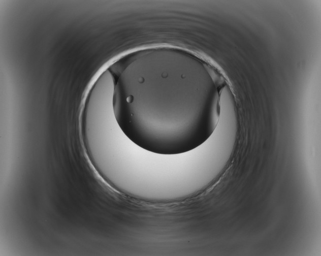 X0000084031516200703091958