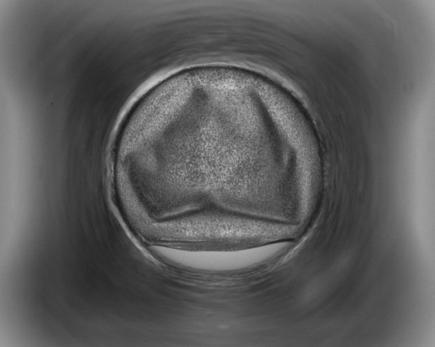 X0000084031517200703091958