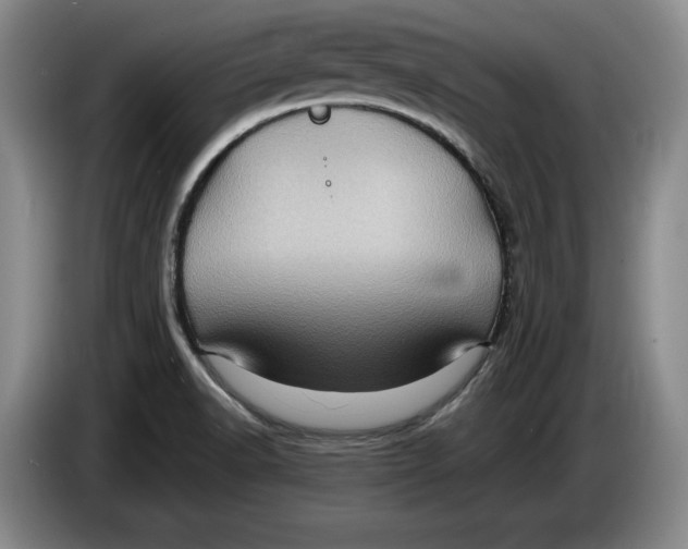 X0000084031518200703091958