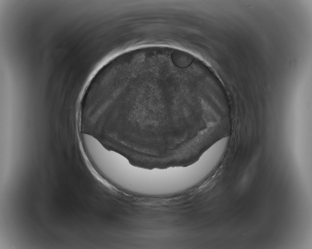 X0000084031519200703091958