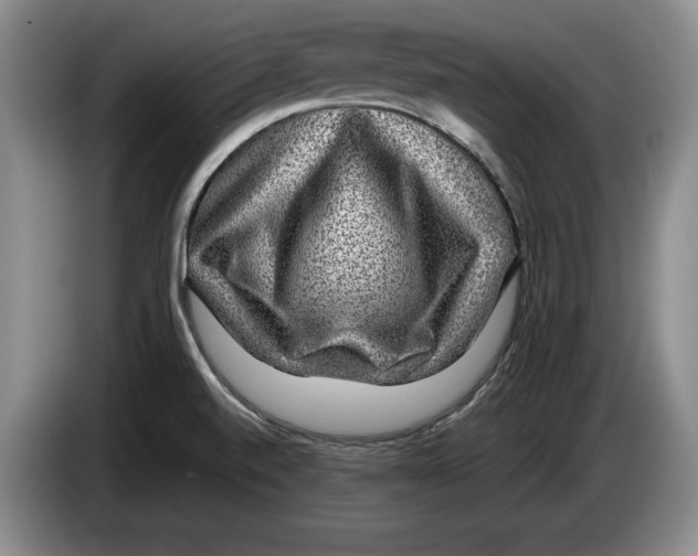 X0000084031520200703091958