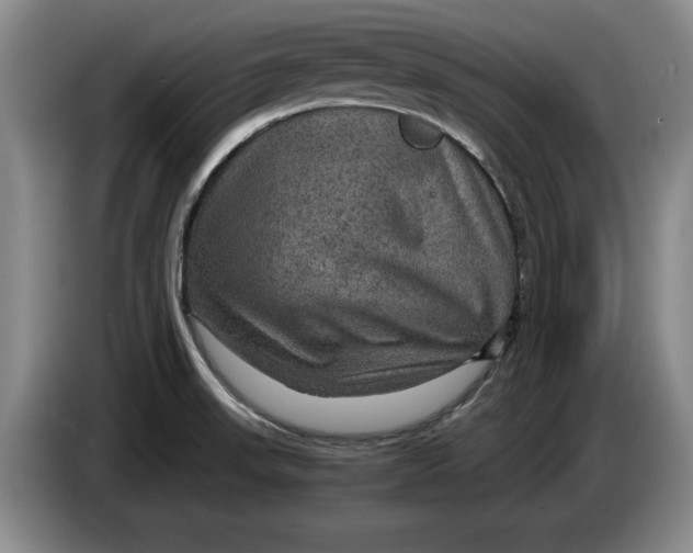 X0000084031523200703091958