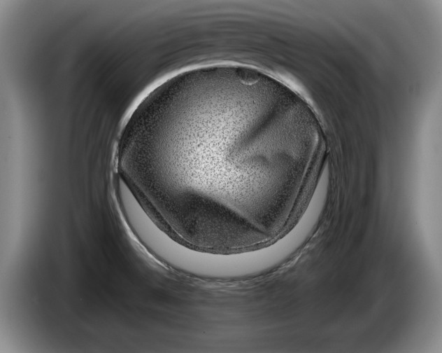 X0000084031524200703091958