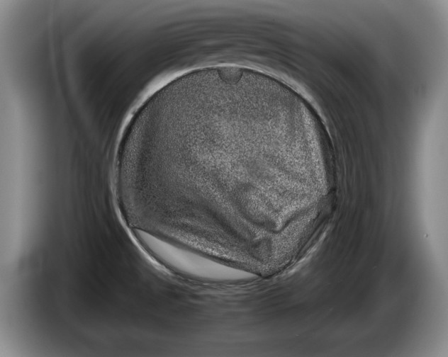 X0000084031525200703091958