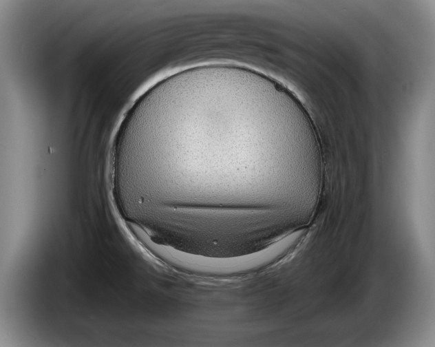 X0000084031526200703091958