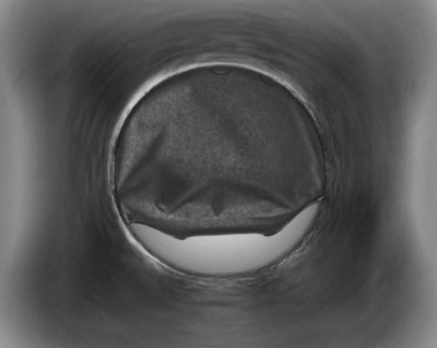 X0000084031527200703091958