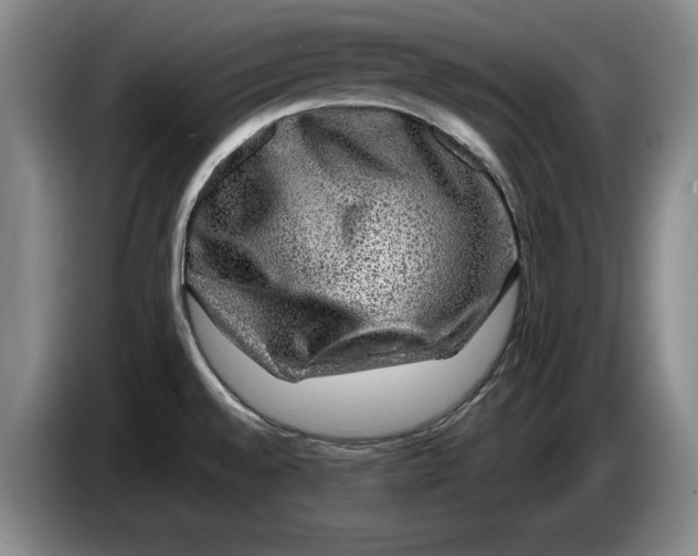 X0000084031528200703091958