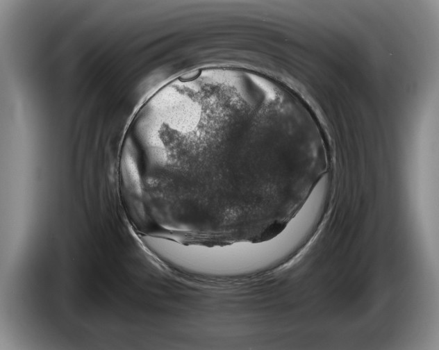 X0000084031529200703091958