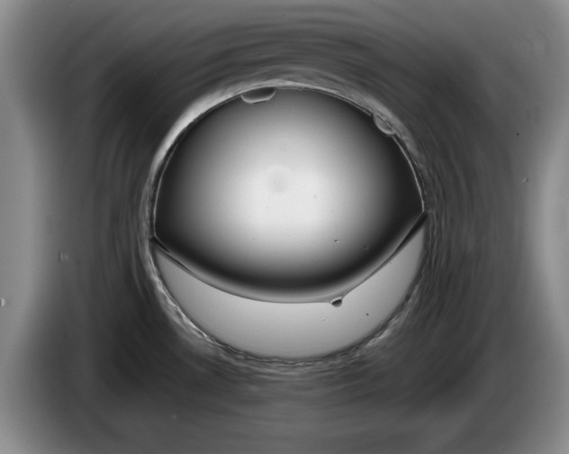 X0000084031530200703091958