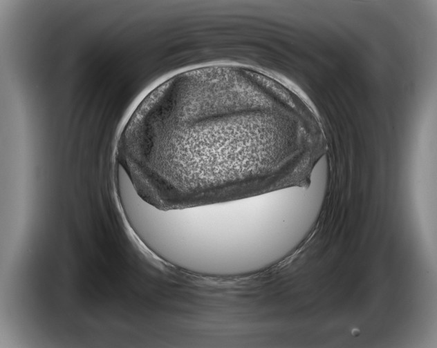 X0000084031532200703091958