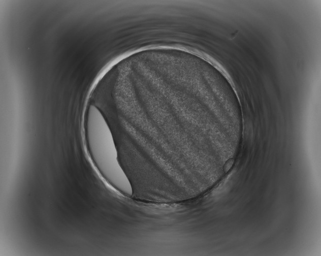 X0000084031533200703091959