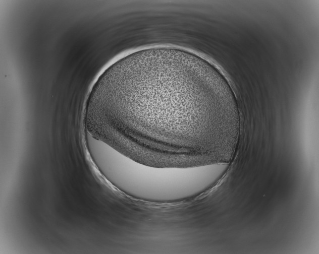 X0000084031534200703091959