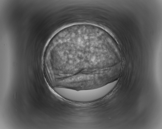 X0000084031535200703091959