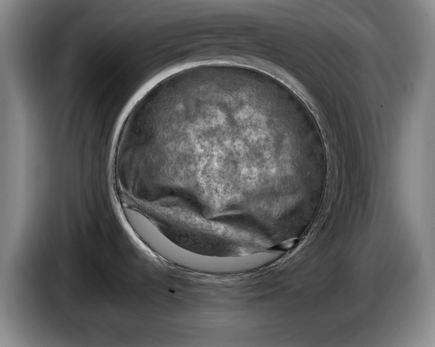 X0000084031536200703091959