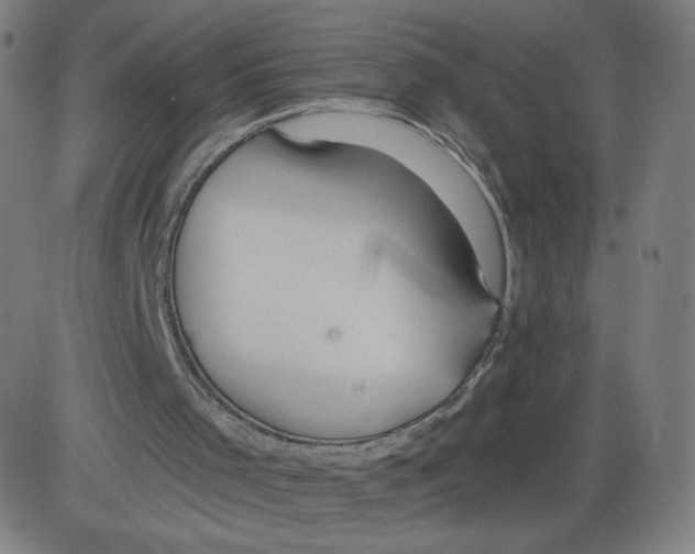 X0000084030001200703161817