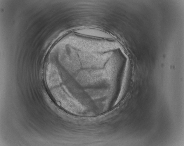 X0000084030002200703161817