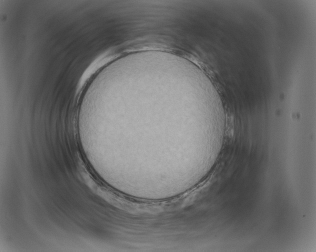 X0000084030004200703161817