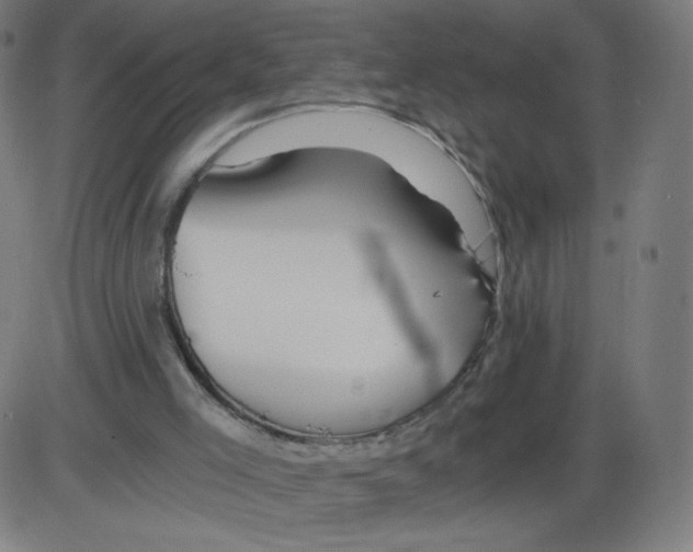 X0000084030005200703161817