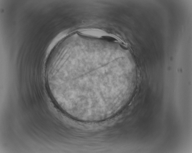 X0000084030006200703161817