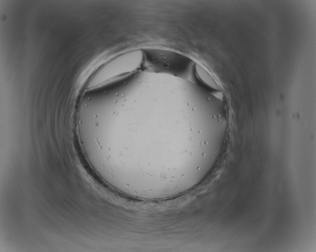 X0000084030007200703161817