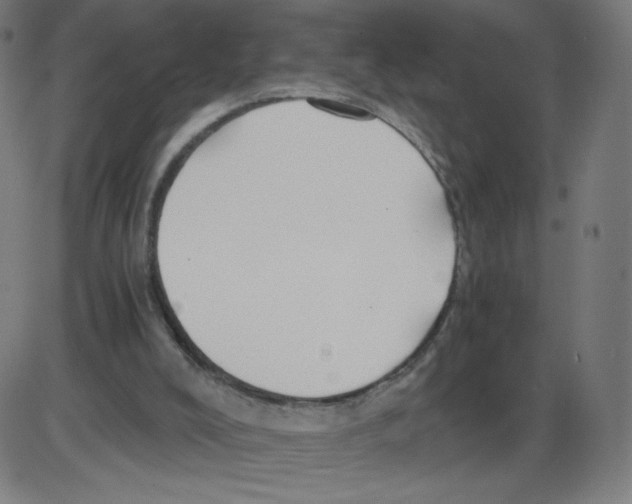 X0000084030008200703161817