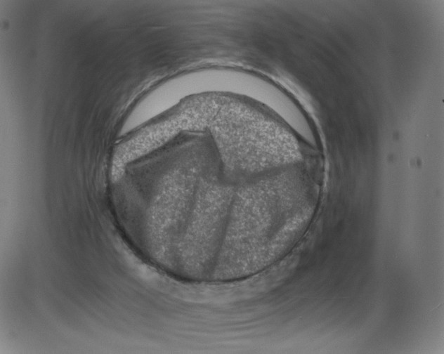 X0000084030009200703161817