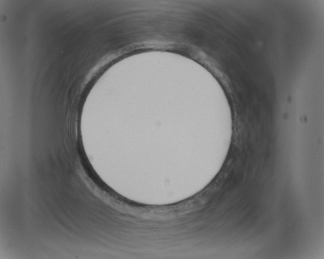 X0000084030011200703161817